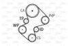CITRO X28OESKDP Water Pump & Timing Belt Kit